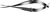 Cohan-Vannas Curved Iris Scissors - E3349